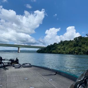 Meet your Posher, Joey